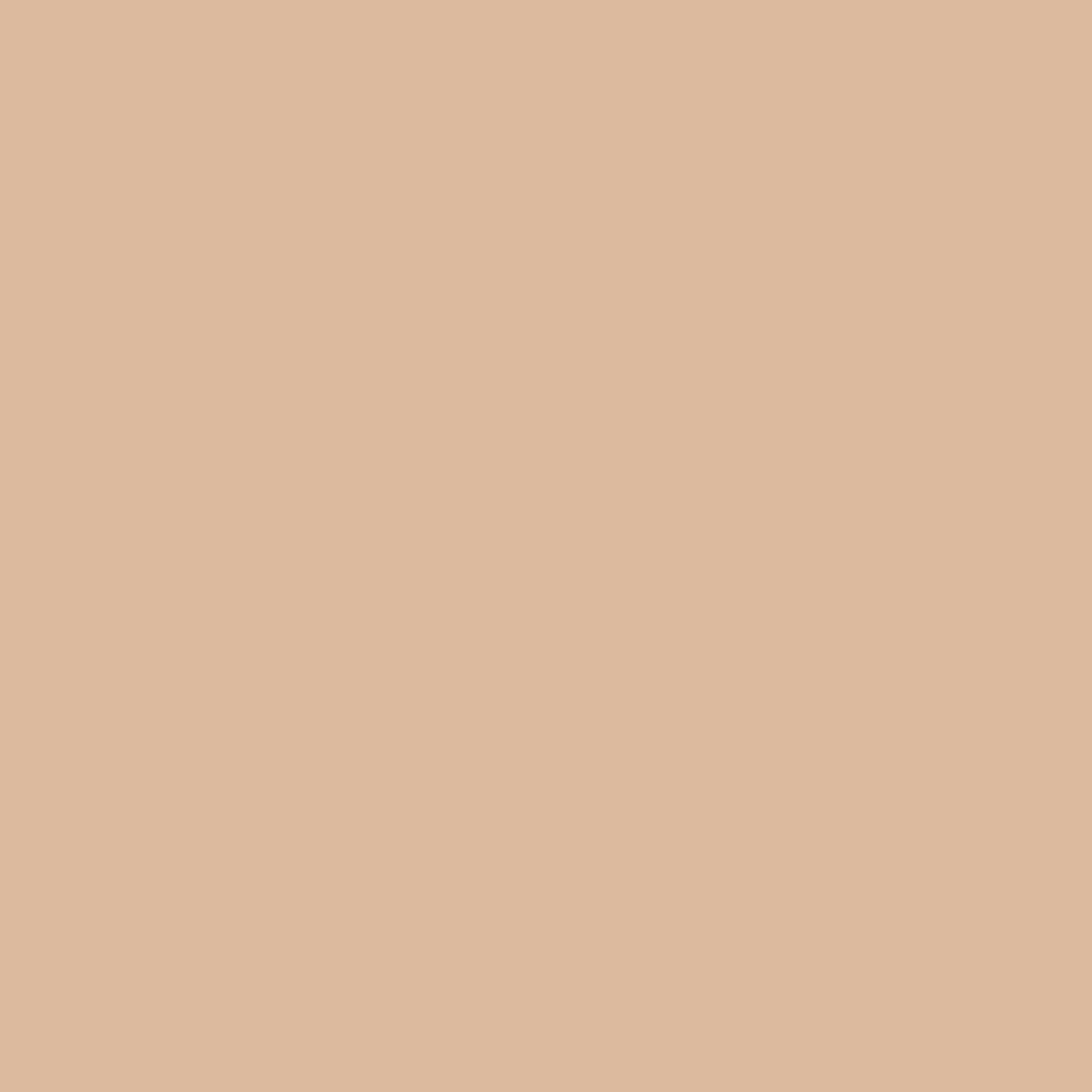Spaces Solid 100% Cotton 144 TC Double Bedsheet with 2 Pillow Covers - 274 x 274 cm, Light Orange