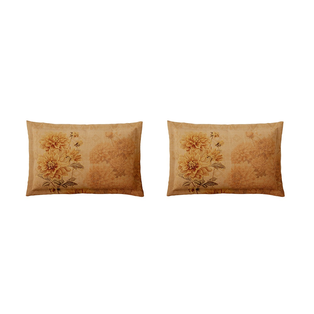 Spaces Avaris 100% Cotton 210 TC Floral Large Bedsheet with 2 Pillow Covers - 108 x 108 Inches, Dark Orange