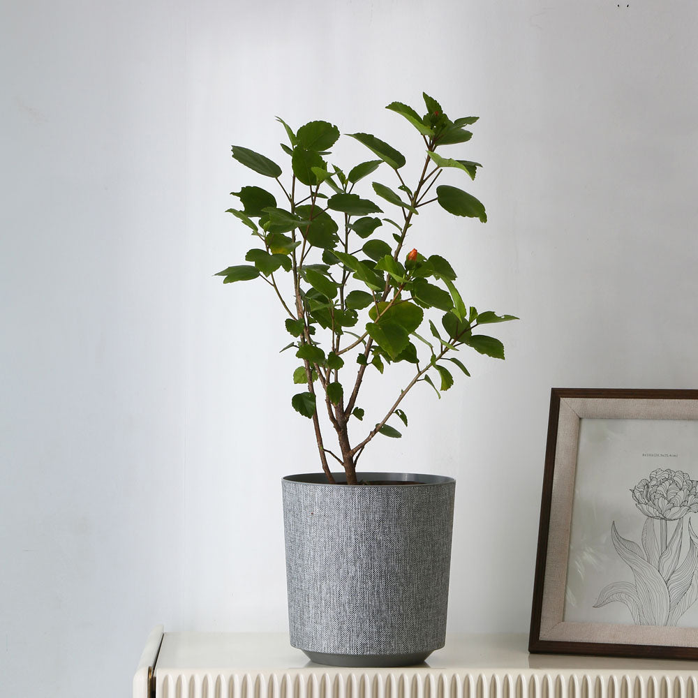 Decorative Indoor Outdoor Polypropylene Planter (Grey)