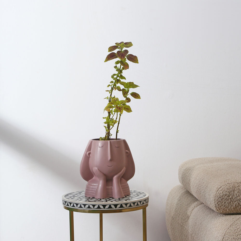 Nilkamal Girl Resting Decorative Dolomite Planter (Pink)