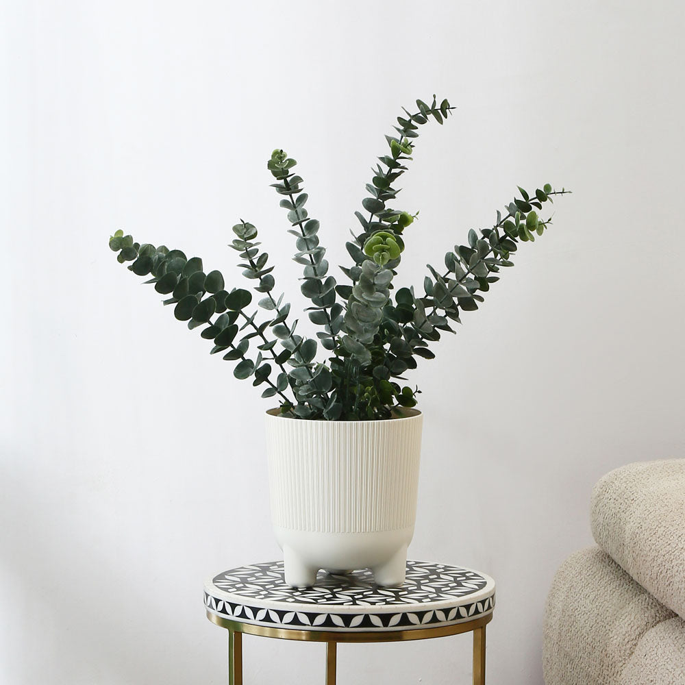 Fluted Design Polypropylene Planter (Cream)