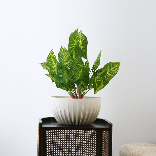 Nilkamal Semi Fluted Design Polypropylene Bowl Planter Cream