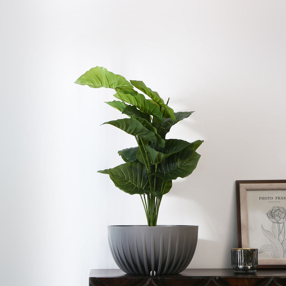 Semi Fluted Design Polypropylene Bowl Planter (Grey)