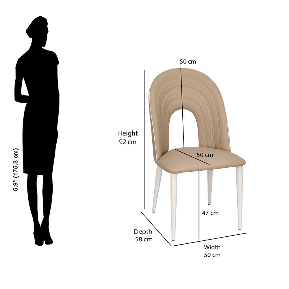 Orrin Dining Chair (Brown & White) - Size In Centimeter