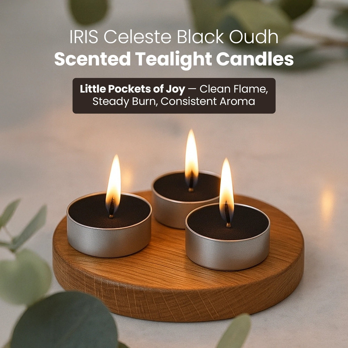 Iris Celeste Black Oudh Fragranced Tealight Candles Pack of 15