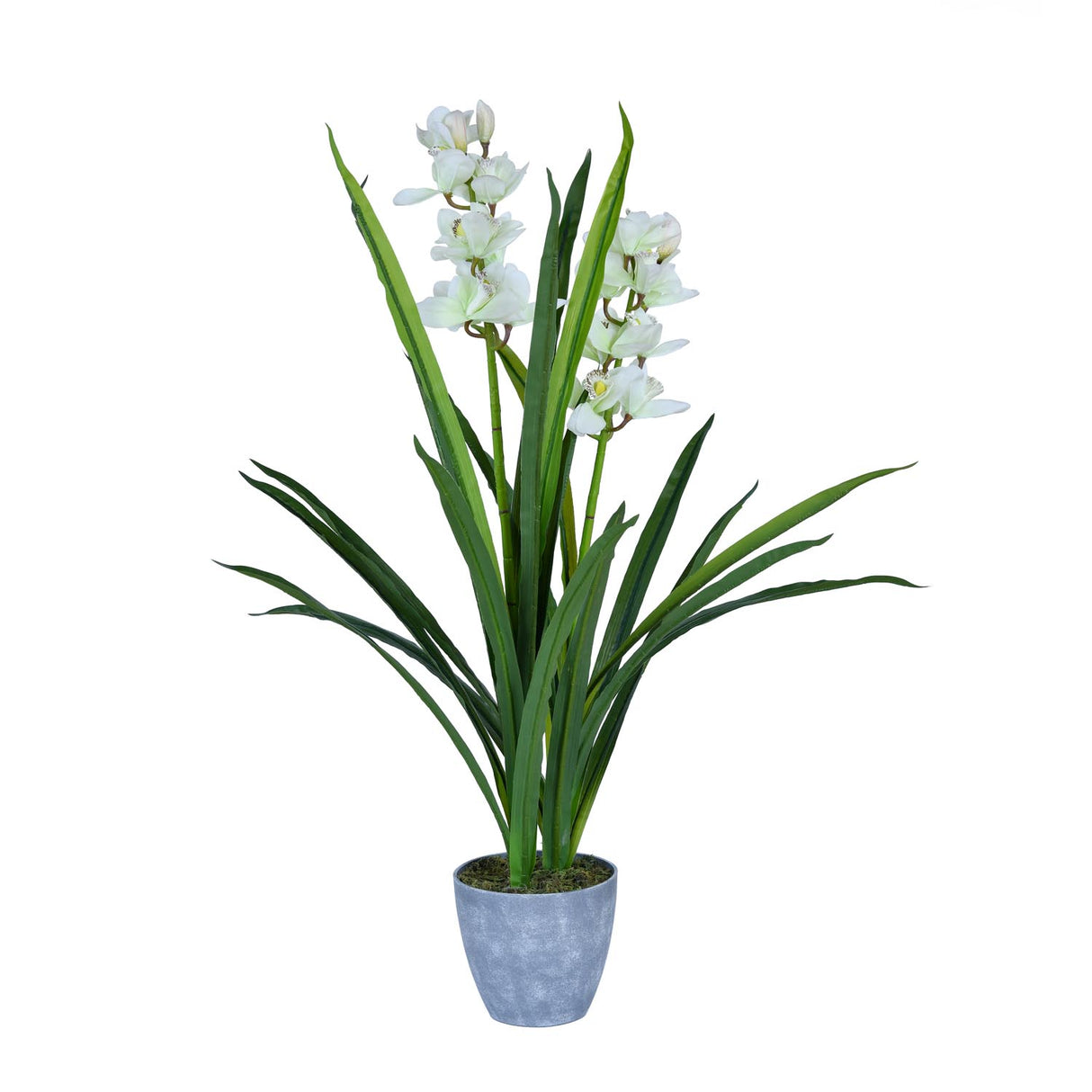Orchid Grass Artificial Potted Plant- Cream & Green
