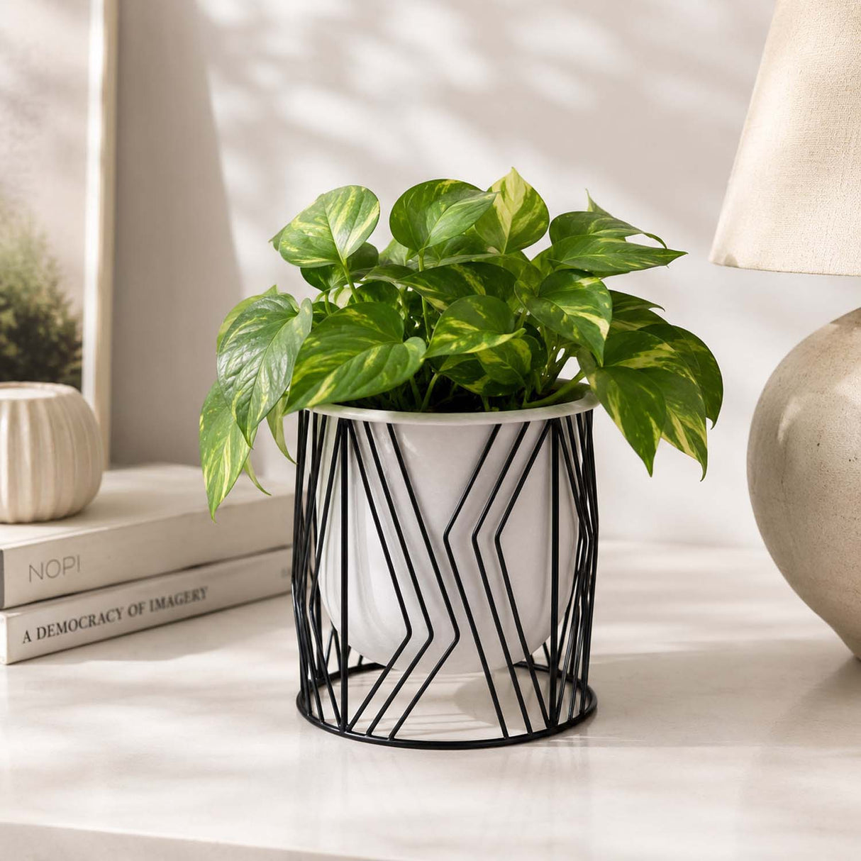 Decorative Planter On Zigzag Stand- Medium, Ivory & Black
