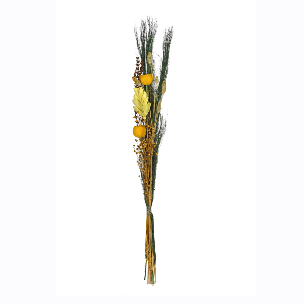 Peony Flower Dry Stick- Yellow