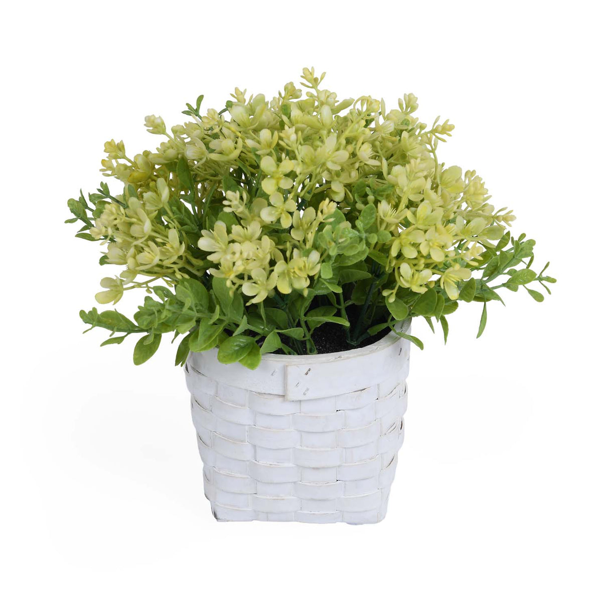 Milan Flower Potted Plant- Green