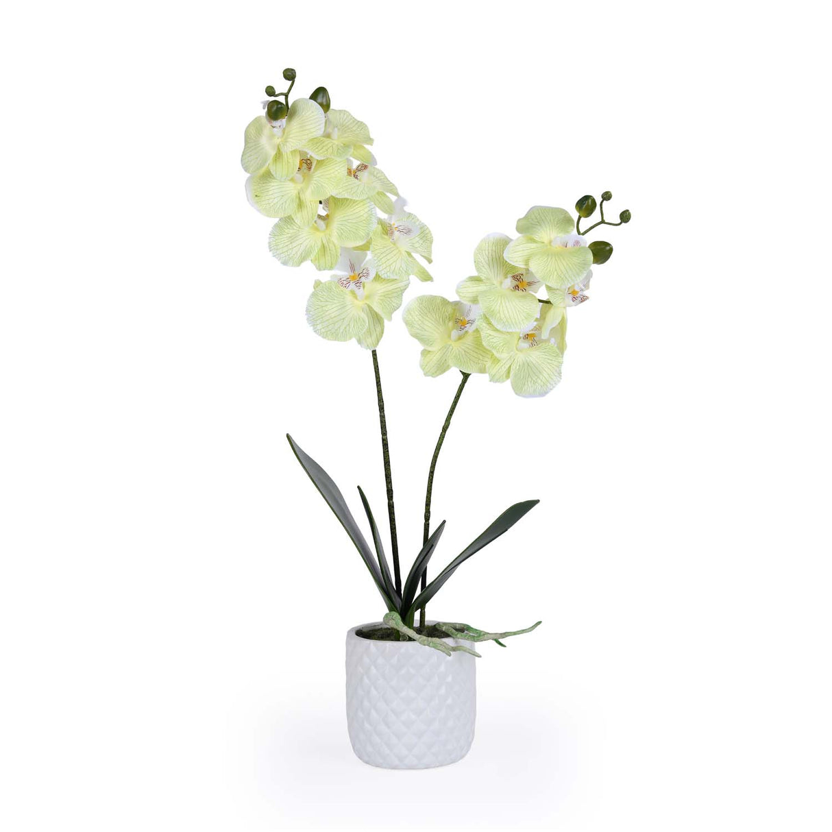Elegant Orchid Artificial Potted Plant- Green