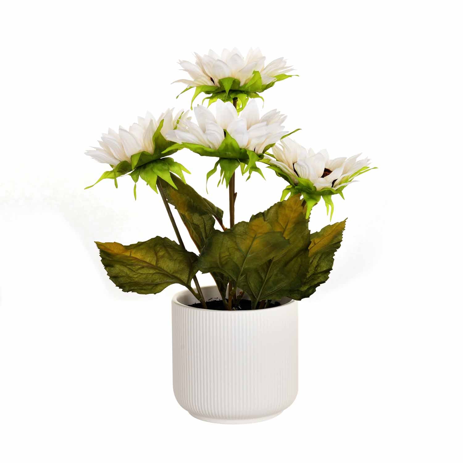Artificial Sunflower Ceramic Potted Plant - White