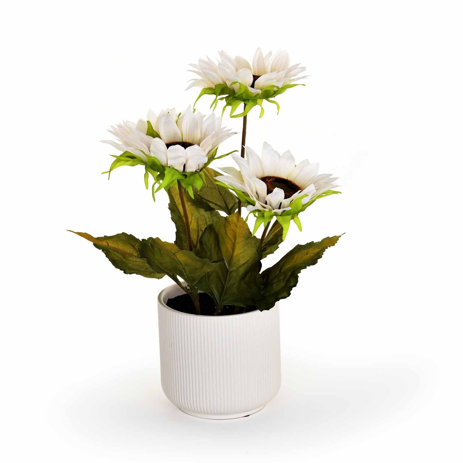 Artificial Sunflower Ceramic Potted Plant - White