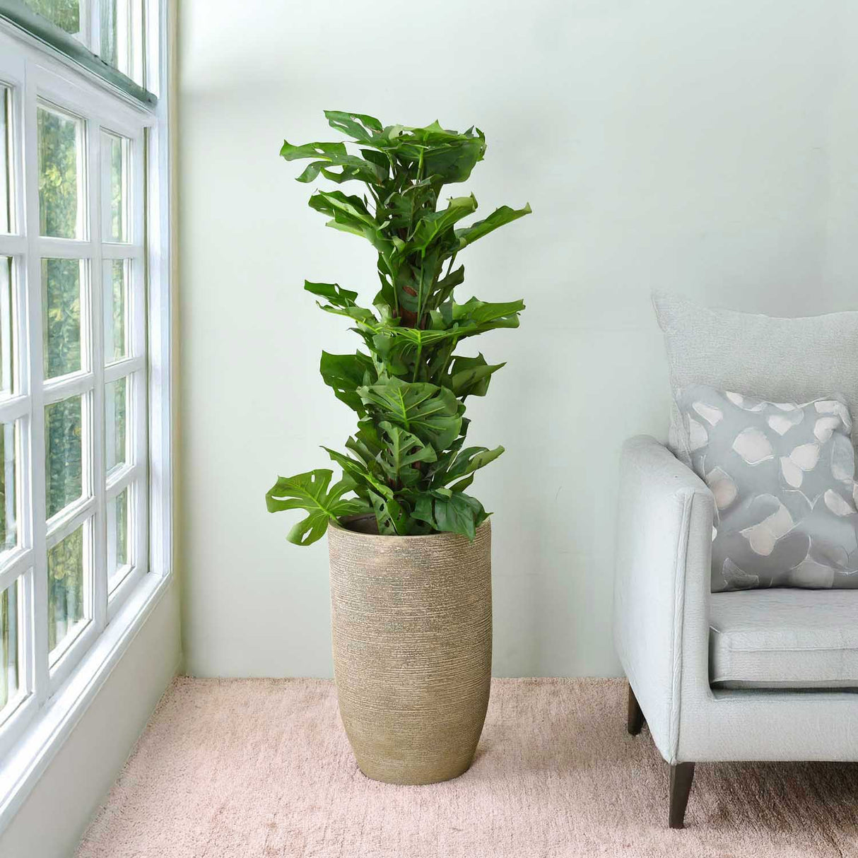 Bullet Shaped Tall Planter 49 cm- Beige