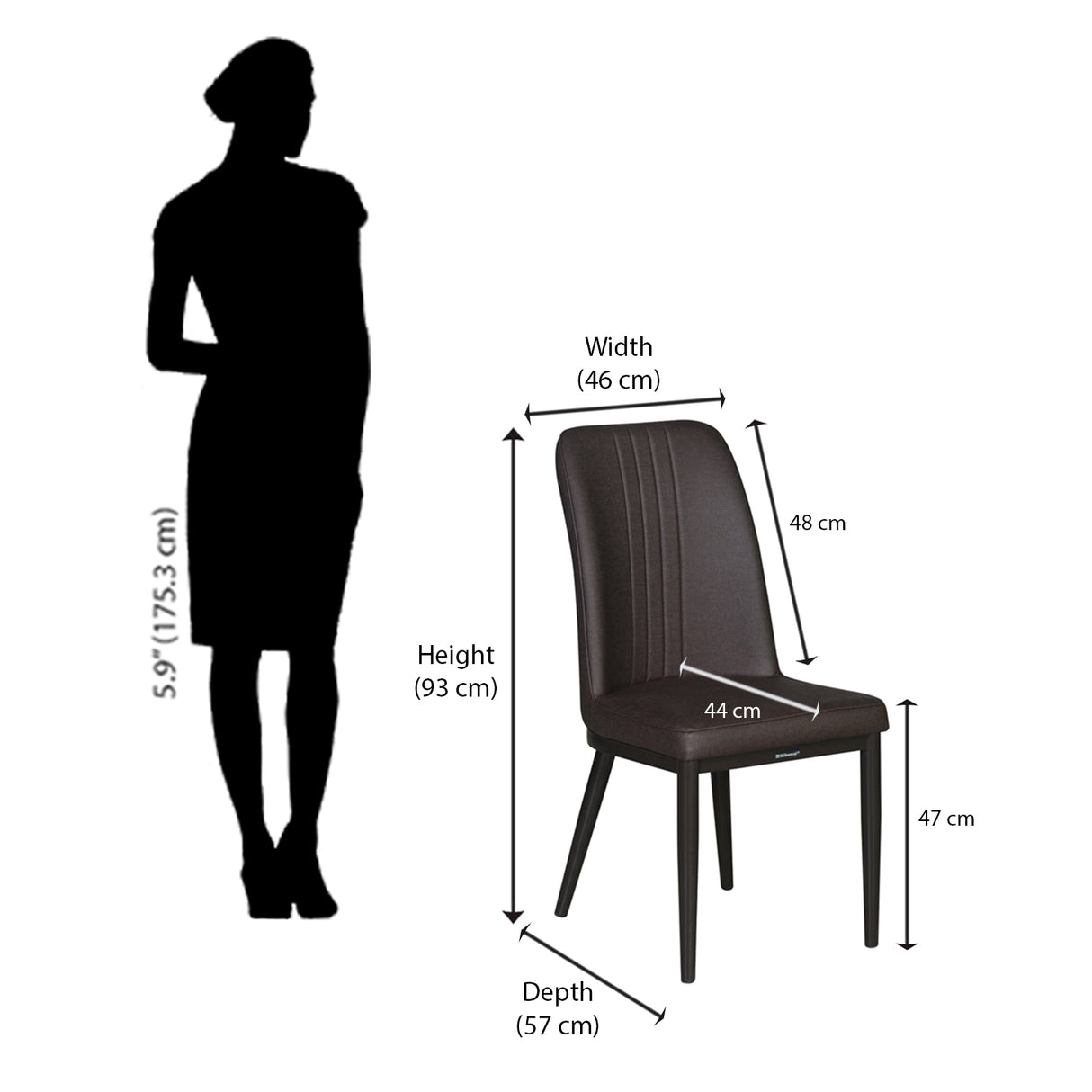 Enoc + Elena 6 Seater Dining Set (Walnut) - Chair Size In Centimeter