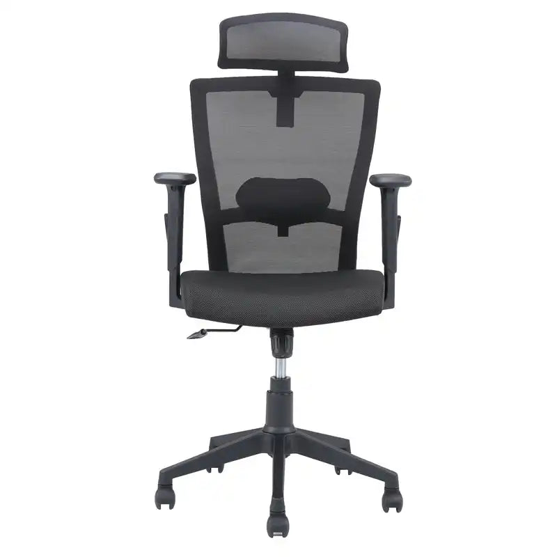 Hexon High Back Mesh Office Chair with Adjustable Arm (Black)