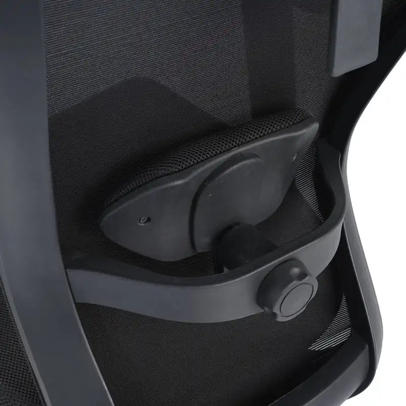 Hexon High Back Mesh Office Chair with Adjustable Arm (Black)