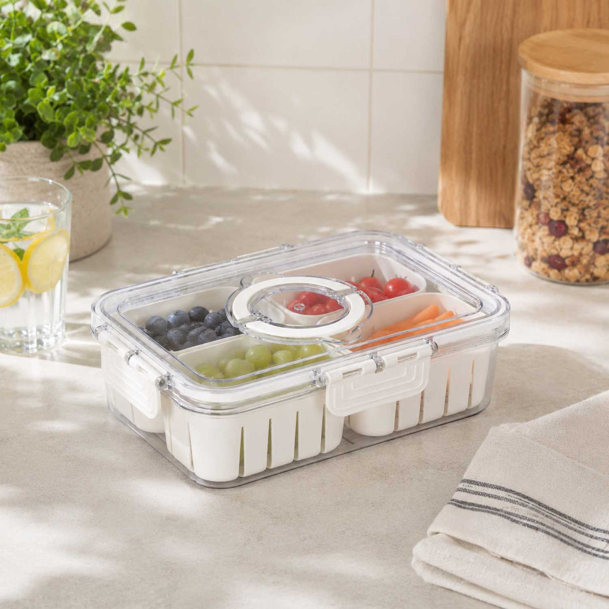 Rectangular 4 Compartment Storage Cannister with Lid and Handle-Cream