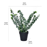 Artificial Eucalyptus Plant With Pot (Green)