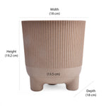 Fluting Design Decorative Polypropylene Planter (Latte)