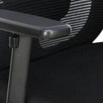 Alba Medium Back Mesh Chair with Adjustable Armrest (Black)