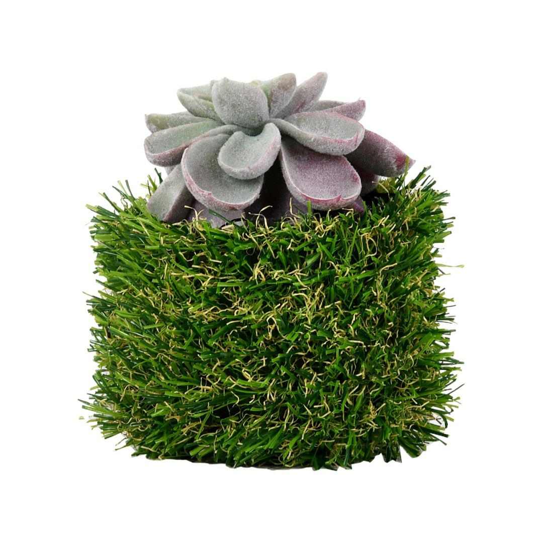 Algae Leaf Potted Plant- Green