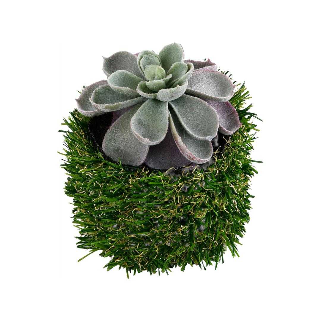 Algae Leaf Potted Plant- Green