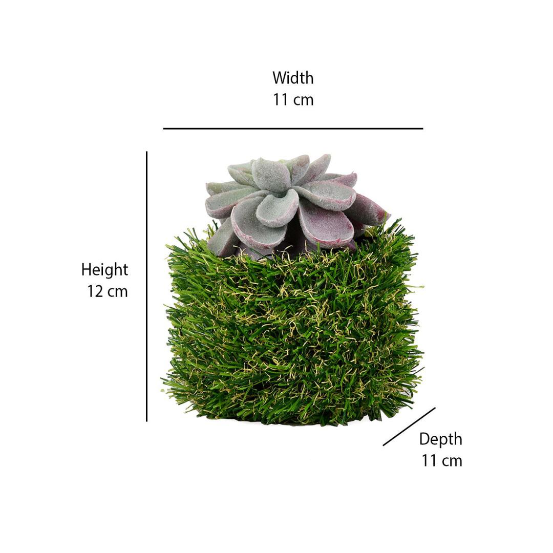 Algae Leaf Potted Plant- Green