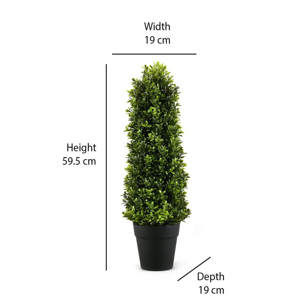 Boxwood Hilly Potted Plant (Green)