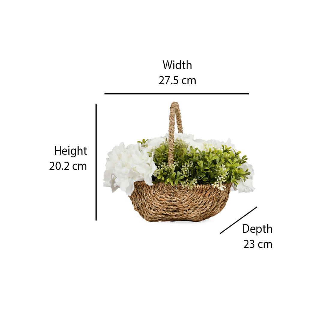 Hydrangea Basket Potted Plant (White)