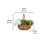 Hydrangea Basket Potted Plant (White)