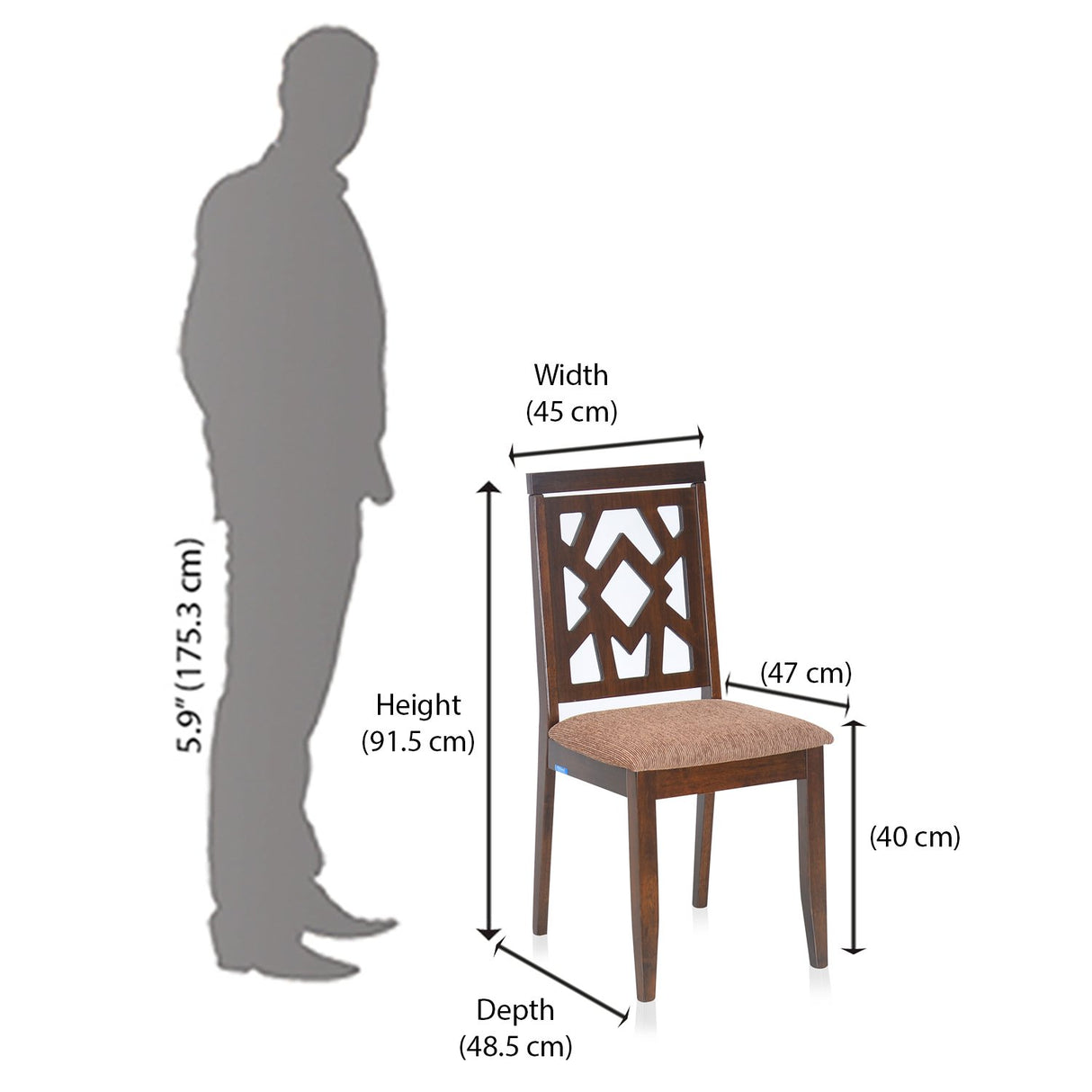 Lopez Dining Chair in Walnut Finish – Size In Centimeter