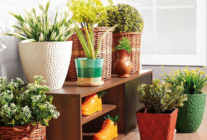 Decorate your home with creative and unique gardening ideas