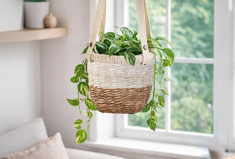 How To Style Your Indoor Garden Using Planters