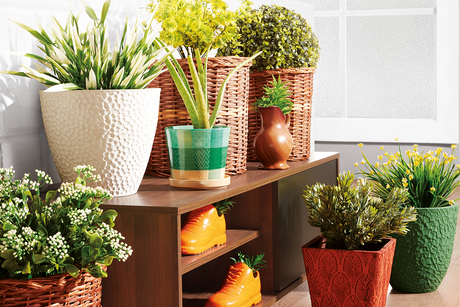 How to arrange beautiful potted flowers and flower baskets for your home garden