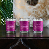 Nilkamal Arias by Lara Dutta Fresh Bergamot and Oud Water Scented Votive Candles Set of 3 (White)