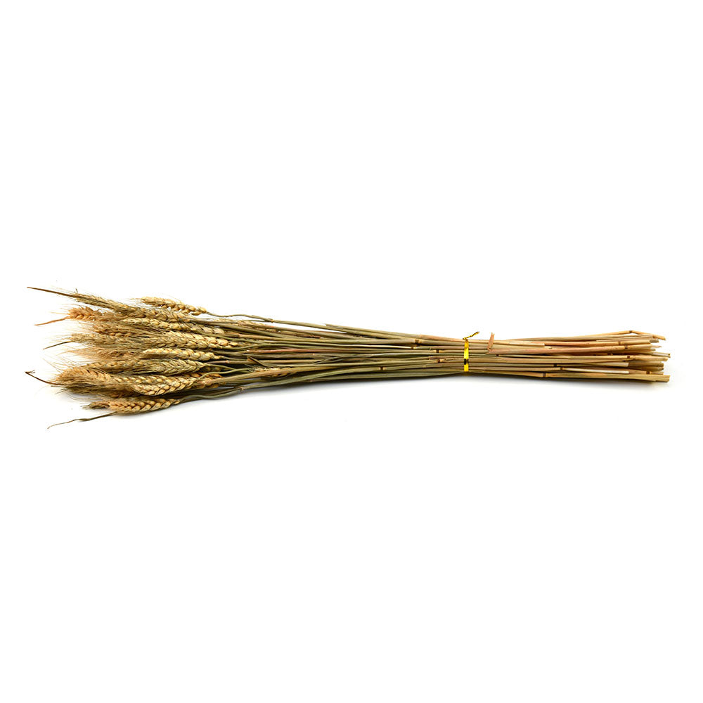 Wheat Artificial Filler Bunch- Brown
