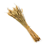Wheat Artificial Filler Bunch- Brown