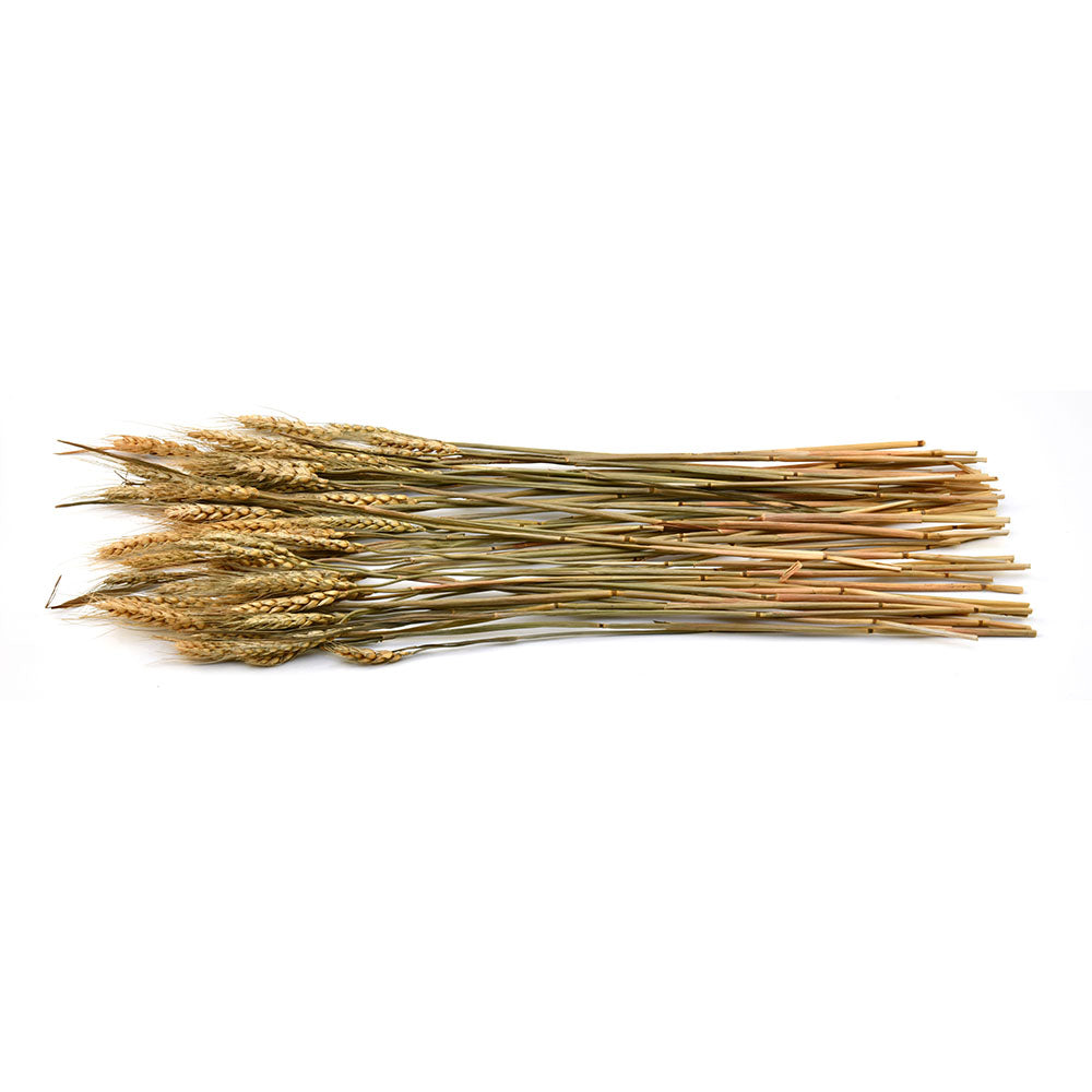 Wheat Artificial Filler Bunch- Brown