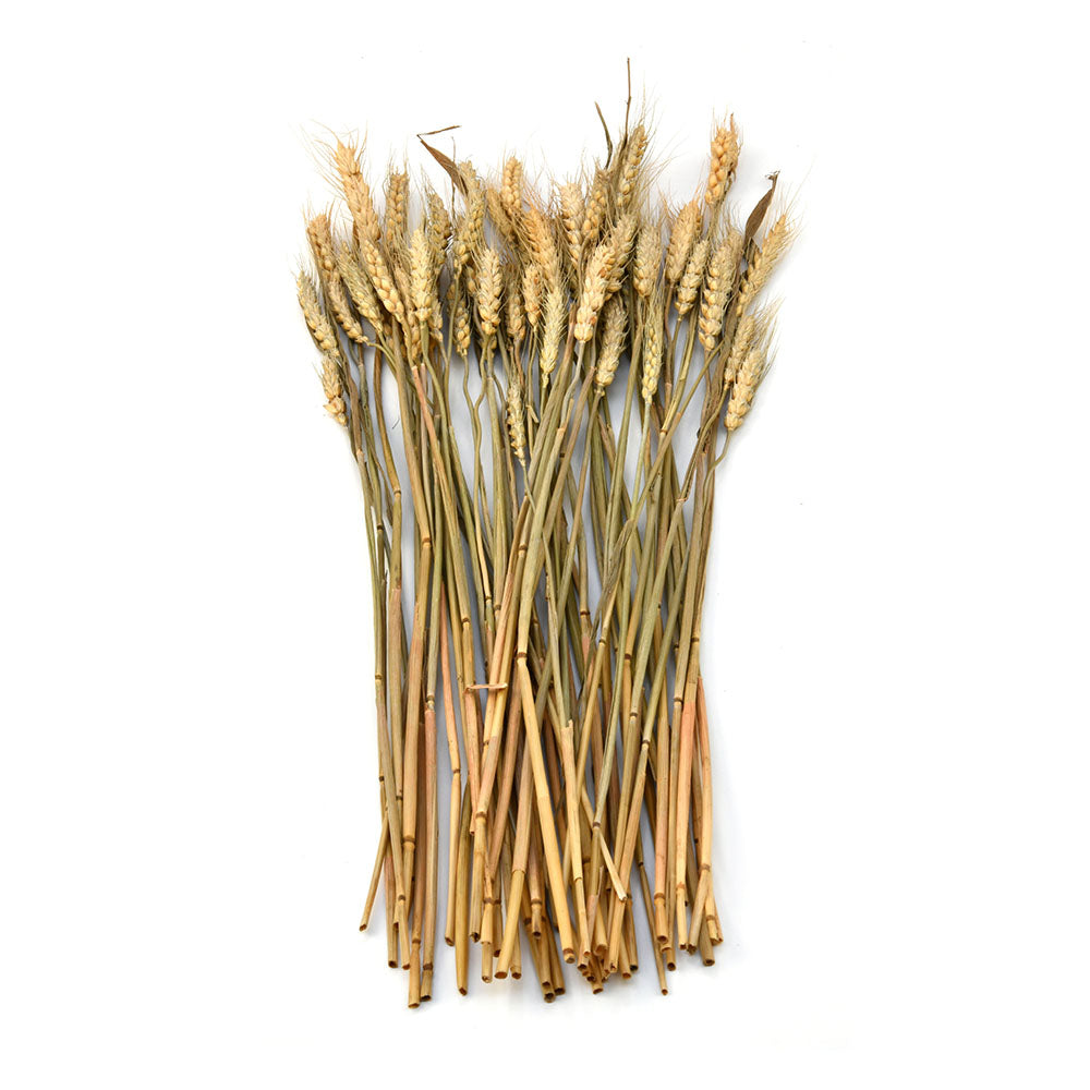 Wheat Artificial Filler Bunch- Brown