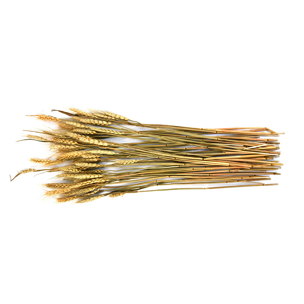 Wheat Artificial Filler Bunch- Brown