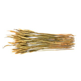 Wheat Artificial Filler Bunch- Brown