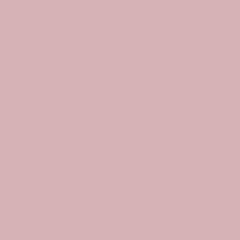 Spaces Essentials Solid 100% Cotton 180 TC Double Bedsheet with 2 Pillow Covers - 274 x 274 cm, Blush
