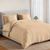 Spaces Essentials Solid 100% Cotton 180 TC Double Bedsheet with 2 Pillow Covers - 274 x 274 cm, Light Orange