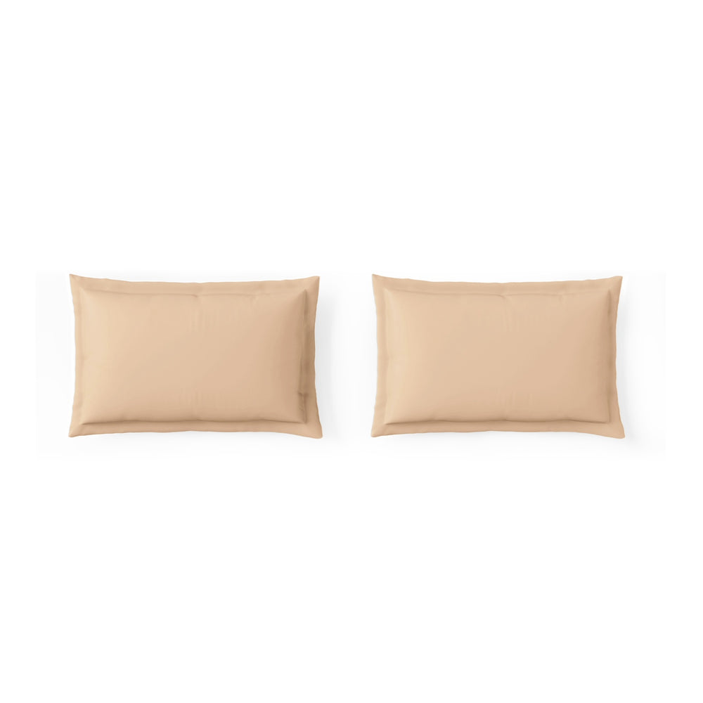 Spaces Essentials Solid 100% Cotton 180 TC Double Bedsheet with 2 Pillow Covers - 274 x 274 cm, Light Orange
