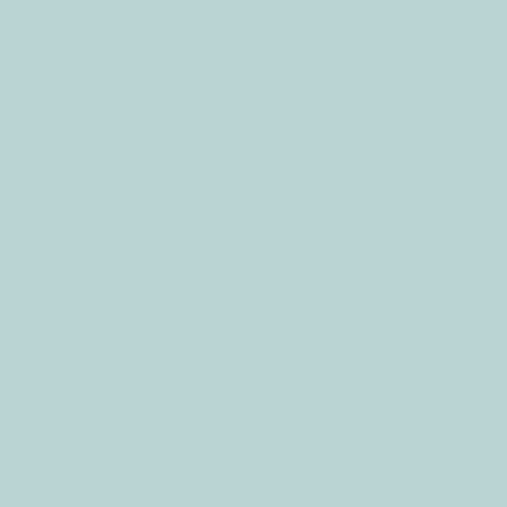 Spaces Solid 100% Cotton 144 TC Double Bedsheet with 2 Pillow Covers - 274 x 274 cm, Light Blue