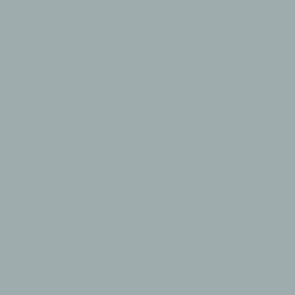 Spaces Solid 100% Cotton 144 TC Double Bedsheet with 2 Pillow Covers - 274 x 274 cm, Grey
