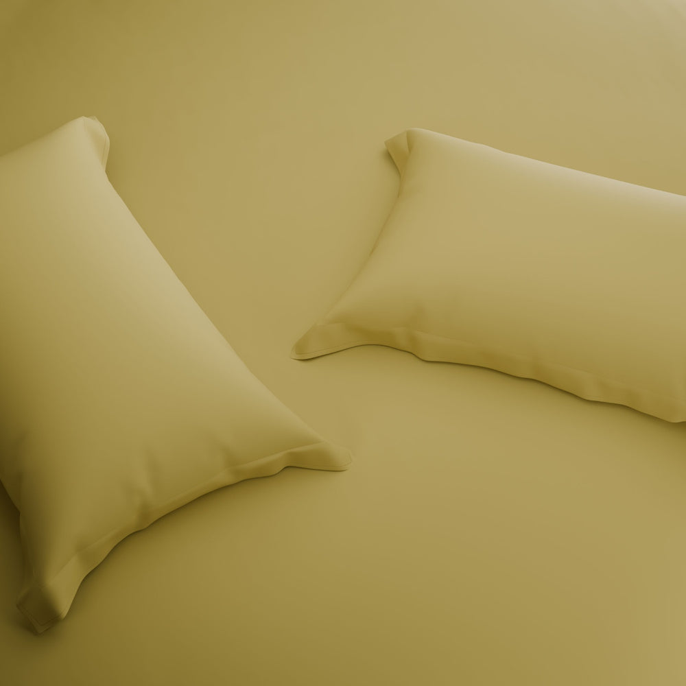 Spaces Solid 100% Cotton 144 TC Double Bedsheet with 2 Pillow Covers - 274 x 274 cm, Light Yellow