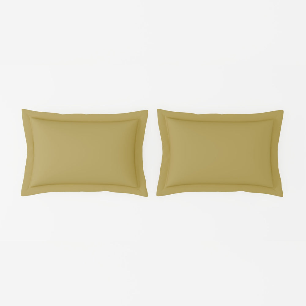 Spaces Solid 100% Cotton 144 TC Double Bedsheet with 2 Pillow Covers - 274 x 274 cm, Light Yellow