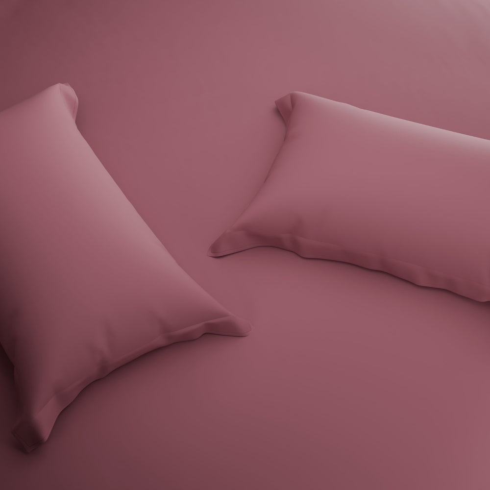 Spaces Solid 100% Cotton 144 TC Double Bedsheet with 2 Pillow Covers - 274 x 274 cm, Light Pink