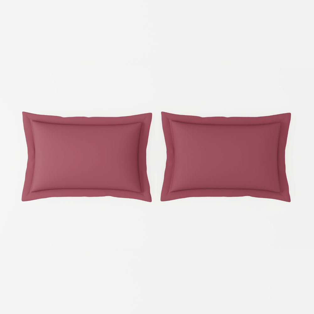 Spaces Solid 100% Cotton 144 TC Double Bedsheet with 2 Pillow Covers - 274 x 274 cm, Light Pink